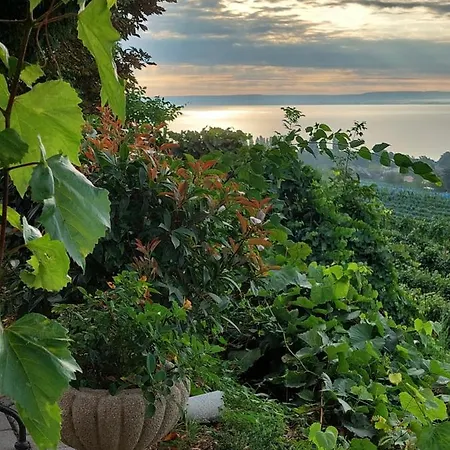 Maison Bagatell Badacsony Gasthof