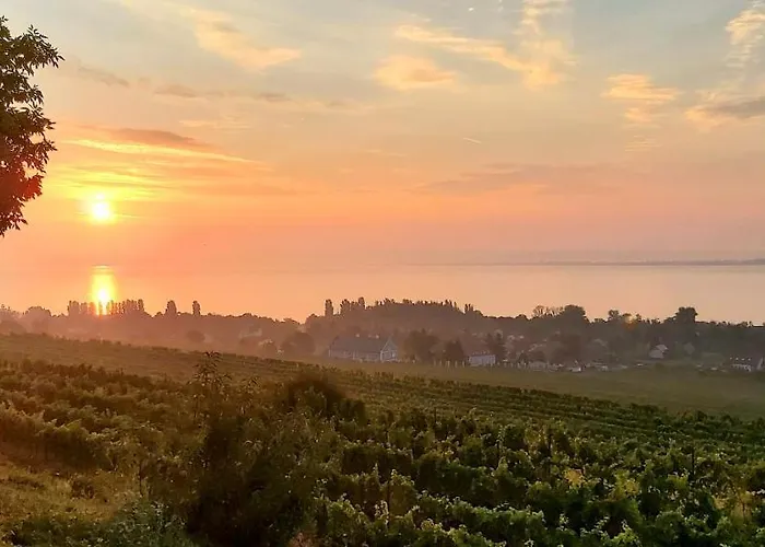 Maison Bagatell Badacsony בית הארחה בדקסוניטומאי