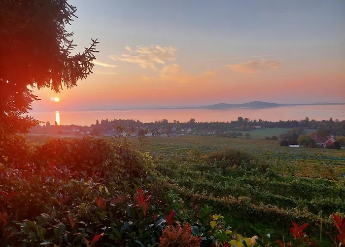 Maison Bagatell Badacsony 4* בדקסוניטומאי